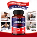 tribulus-terrestris-98-saponins-enhanced-3.jpg