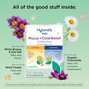 hyland-s-baby-mucus-and-cold-relief-day--3.jpg