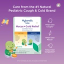 hyland-s-baby-mucus-and-cold-relief-day--2.jpg
