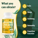 vivaravida-l-theanine-800mg-supplement-w-3.jpg