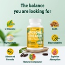vivaravida-l-theanine-800mg-supplement-w-4.jpg
