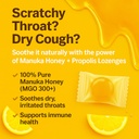 bee2-manuka-honey-and-propolis-lozenges--2.jpg