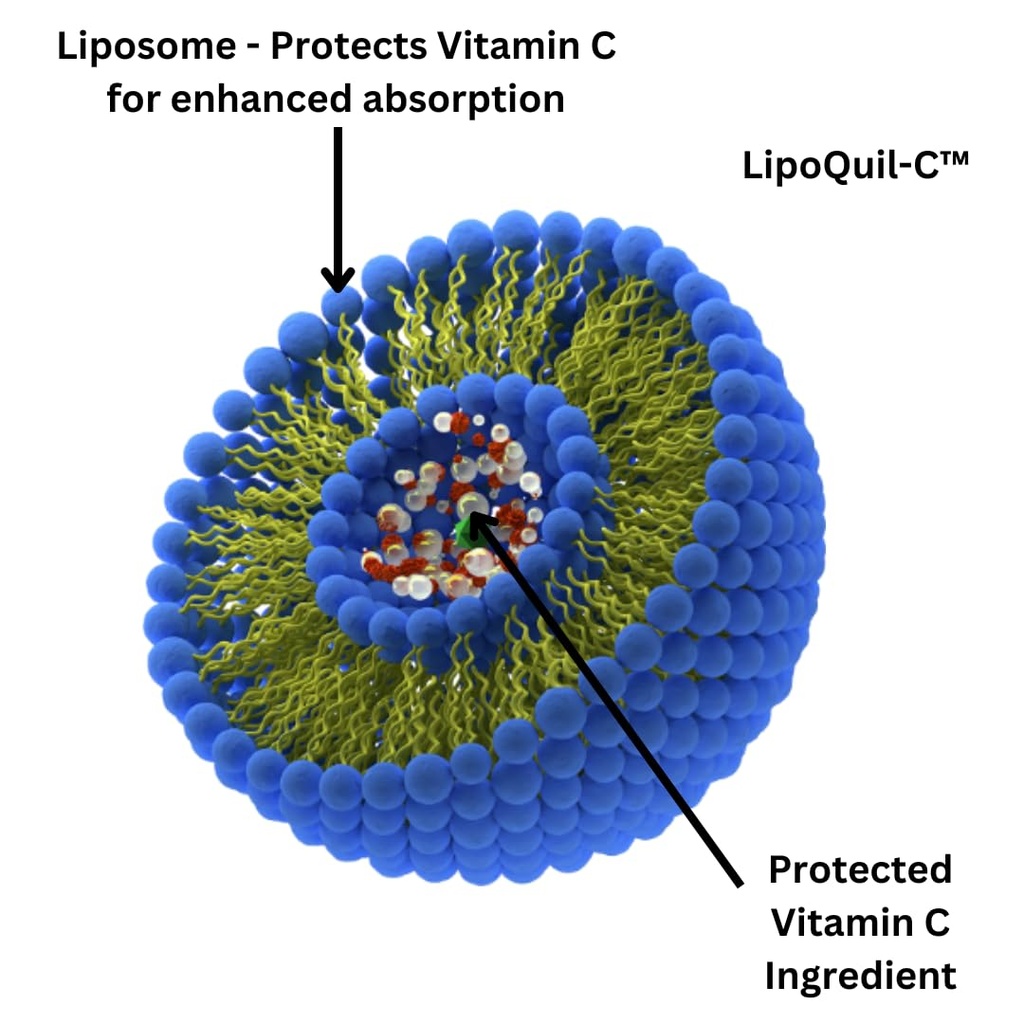 research-labs-liposomal-vitamin-c-supple-3.jpg