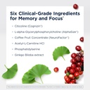 designs-for-health-brain-vitale-supports-3.jpg