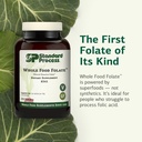 standard-process-inc-whole-food-folate-s-3.jpg