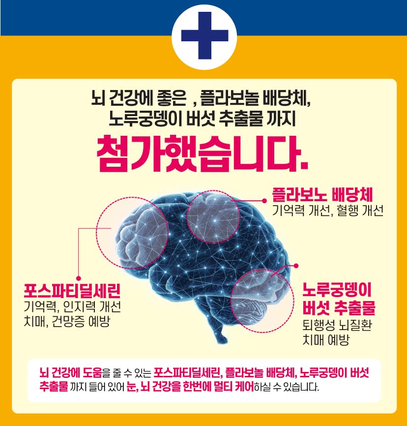 kpurity-visionbrain-eye-brain-health-sup-6.jpg