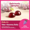 smartypants-kids-probiotic-prebiotic-gum-6.jpg