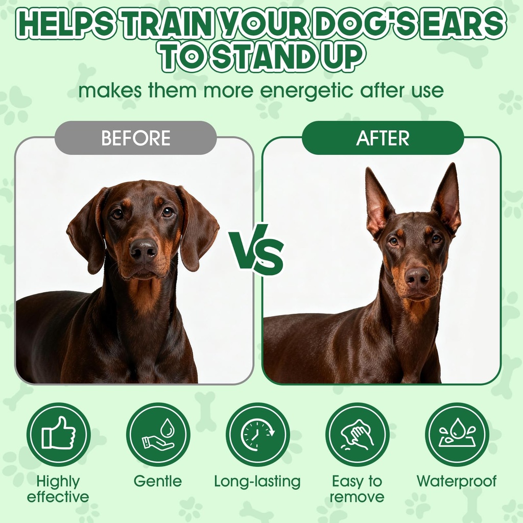 pet-ear-taping-glue-doberman-ear-posting-2.jpg