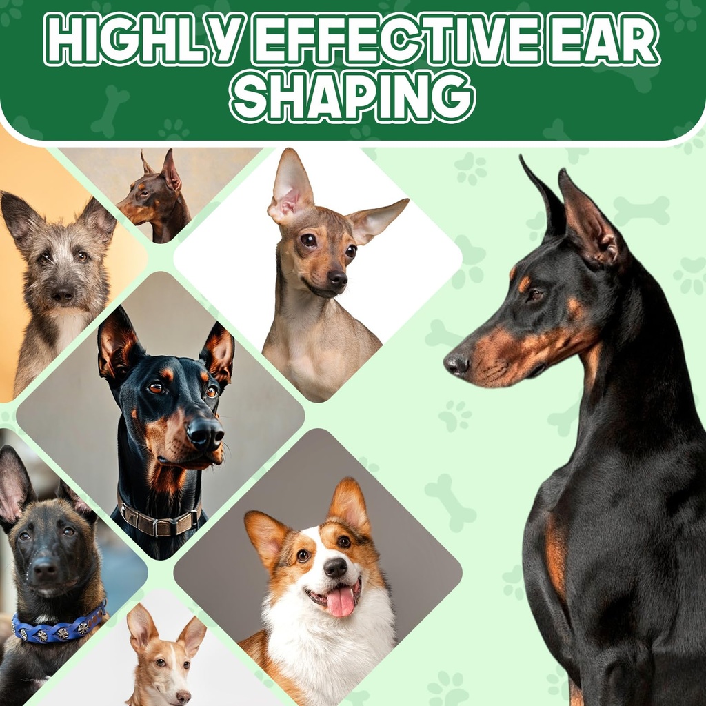 pet-ear-taping-glue-doberman-ear-posting-6.jpg