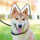 popetpop-dog-ear-stand-up-support-kit-wi-5.jpg