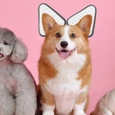 popetpop-dog-ear-stand-up-support-kit-wi-6.jpg