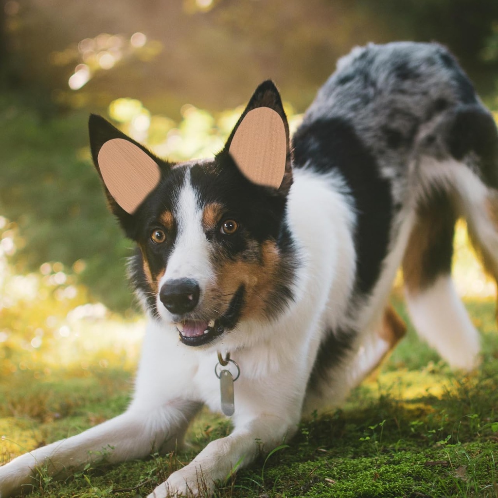 popetpop-dog-ear-stand-sticker-support-t-2.jpg