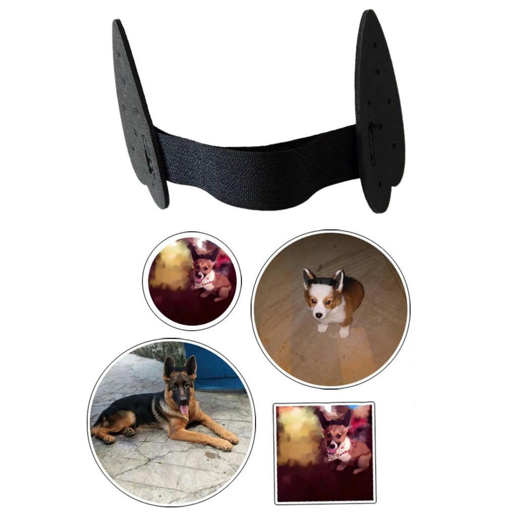 2pcs-pet-dog-ears-care-tool-ear-stand-up-2.jpg