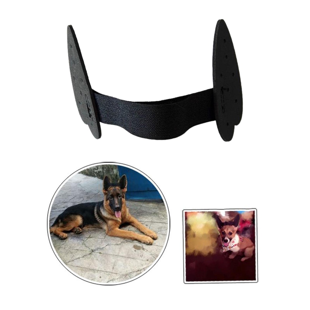2pcs-pet-dog-ears-care-tool-ear-stand-up-6.jpg