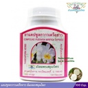 2x-thai-herb-pueraria-mirifica-thanyapor-3.jpg