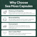 organics-ocean-wild-sea-moss-capsules----6.jpg