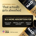 orphira-nad-liquid-supplement-liposomal--2.jpg