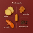 stomachbloom-turmeric-curcumin-with-ging-2.jpg