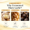 fermented-black-garlic-extract-black-gar-6.jpg