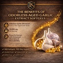 2026-aged-garlic-extract-odorless-garlic-4.jpg
