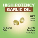 vitalibre-odorless-garlic-extra-strength-3.jpg