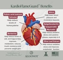 algonot-kardioflameguard-heart-health-su-5.jpg