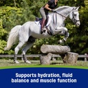 farnam-apple-elite-horse-electrolytes-po-6.jpg