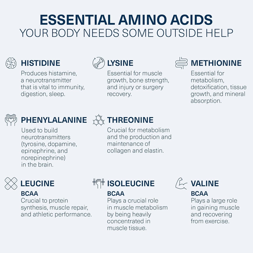 the-amino-co---perform-pre-workout-powde-4.jpg