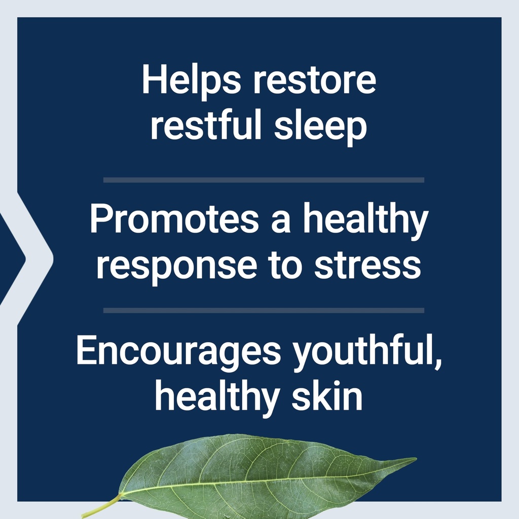 life-extension-enhanced-sleep-without-me-4.jpg