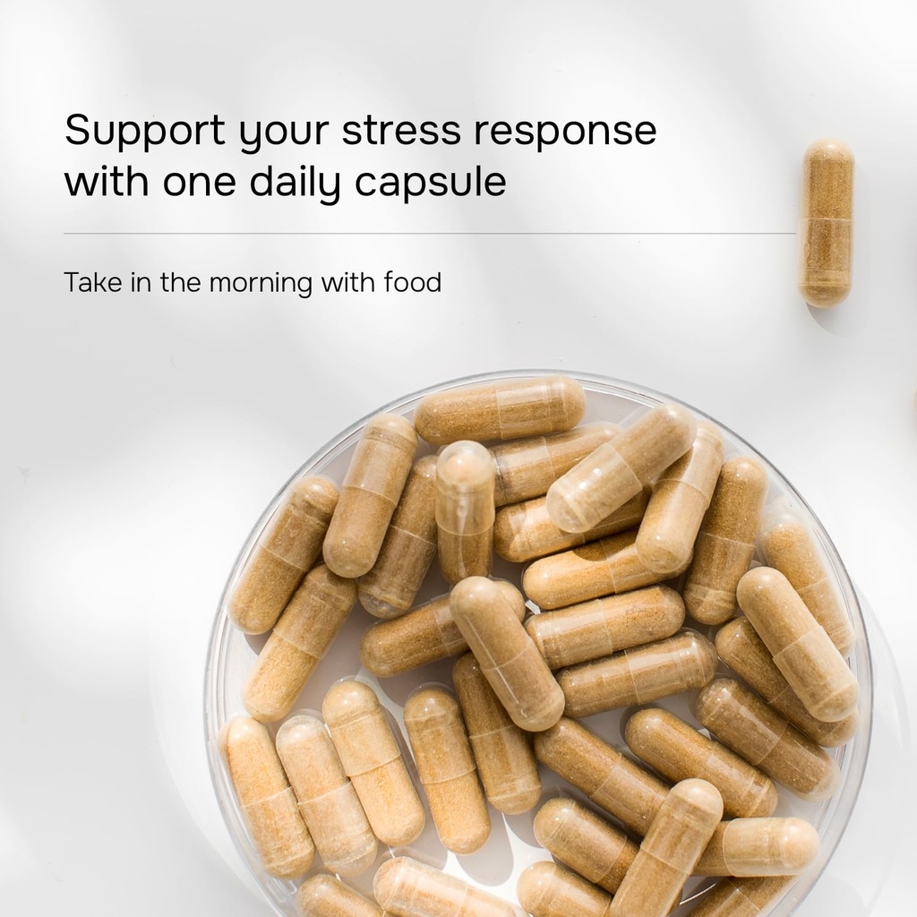 labs-ashwagandha-500-mg-stress-cortisol--6.jpg