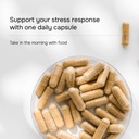 labs-ashwagandha-500-mg-stress-cortisol--6.jpg