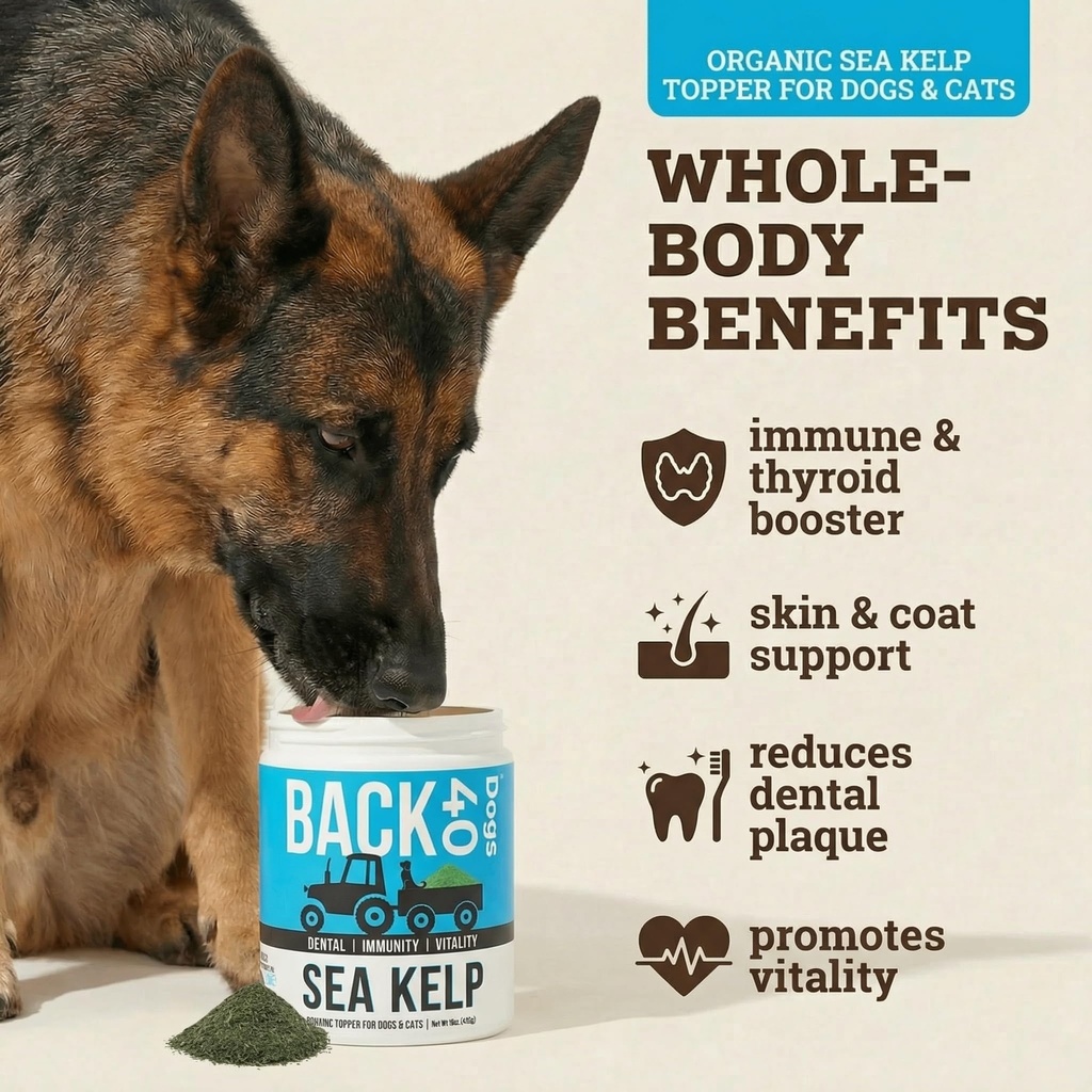 organic-kelp-powder-for-dogs-dried-sea-k-2.jpg