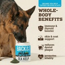 organic-kelp-powder-for-dogs-dried-sea-k-2.jpg