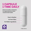 md-life-l-methylfolate-1mg-professional--4.jpg