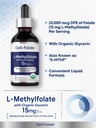 carlyle-l-methylfolate-drops-15mg-2-fl-o-4.jpg