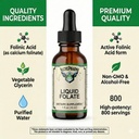 folate-iiquid-667-mcg-dfe-400-mcg-of-fol-2.jpg