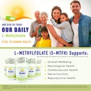 our-daily-vites-l-methylfolate-5mg-5000m-3.jpg