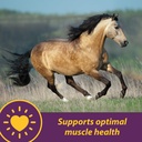 horse-health-vita-e-selenium-crumbles-vi-2.jpg
