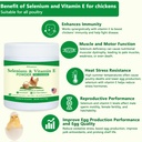 selenium-and-vitamin-e-powder-for-chicke-2.jpg