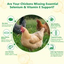 selenium-and-vitamin-e-powder-for-chicke-3.jpg