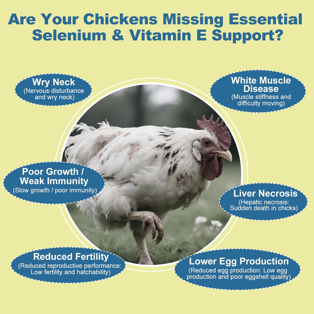 selenium-vitamin-e-powder-for-chickens-s-3.jpg