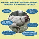 selenium-vitamin-e-powder-for-chickens-s-3.jpg