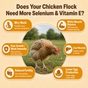 e-s-poultry-vitality-formula-selenium-vi-5.jpg