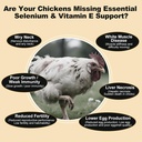 e-s-poultry-vitality-formula-selenium-fo-5.jpg