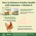 selenium-and-vitamin-e-powder-for-chicke-6.jpg