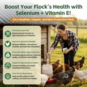 selenium-and-vitamin-e-powder-for-chicke-2.jpg