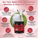 e-and-s-livestock-vitality-formula-selen-3.jpg