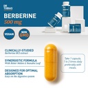 dr-tobias-berberine-500-mg-fat-burner-ni-4.jpg