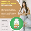 organic-aura-ginger-capsules-120-veg-cap-4.jpg