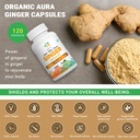 organic-aura-ginger-capsules-120-veg-cap-3.jpg